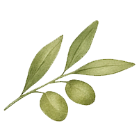Vitamin E