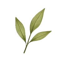 Niacinamide