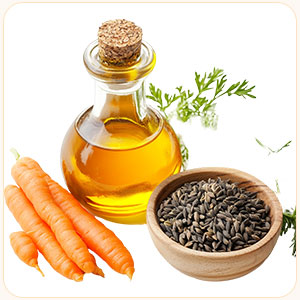 Carrot Seed Oil
