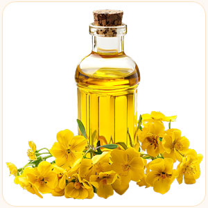 Evening Primrose Oil