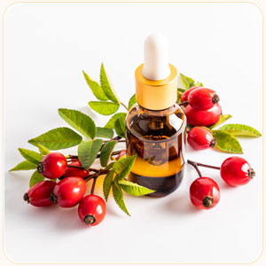Rosehip Oil