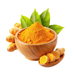 Turmeric Extract