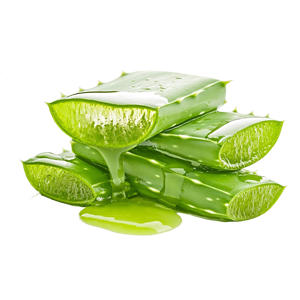 Aloe Vera Gel